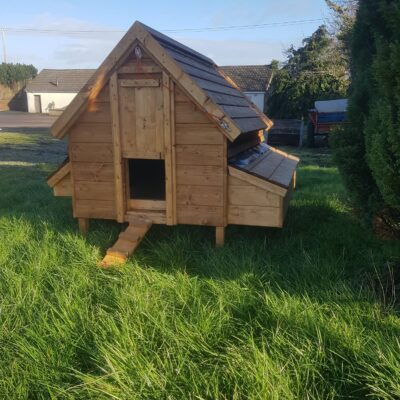 Dog Kennel