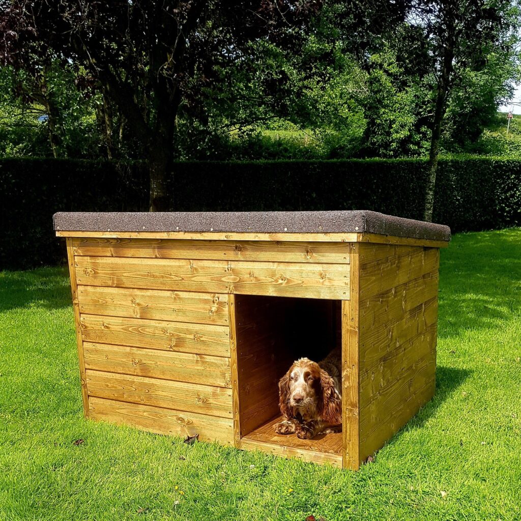 Dog Kennels