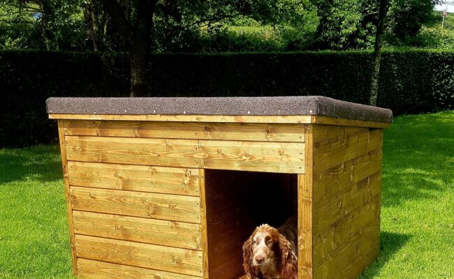Home for your pets! Dog Kennels and Animal Housing